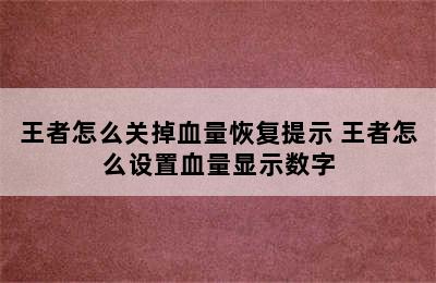 王者怎么关掉血量恢复提示 王者怎么设置血量显示数字